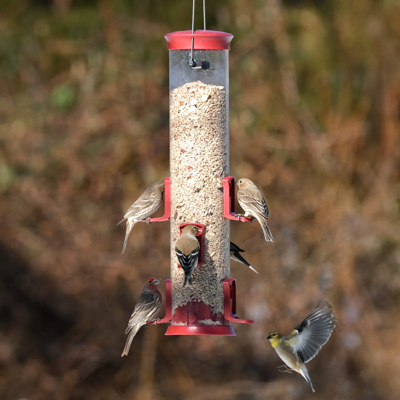 Load image into Gallery viewer, Large Plastic Tube Bird Feeder - Red