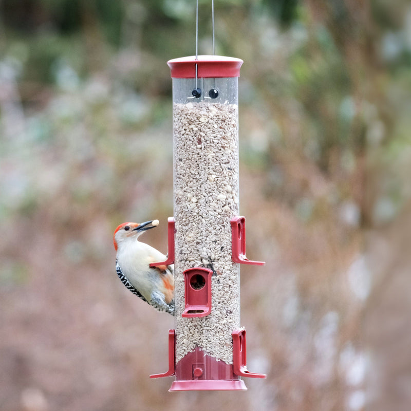 Load image into Gallery viewer, Large Plastic Tube Bird Feeder - Red