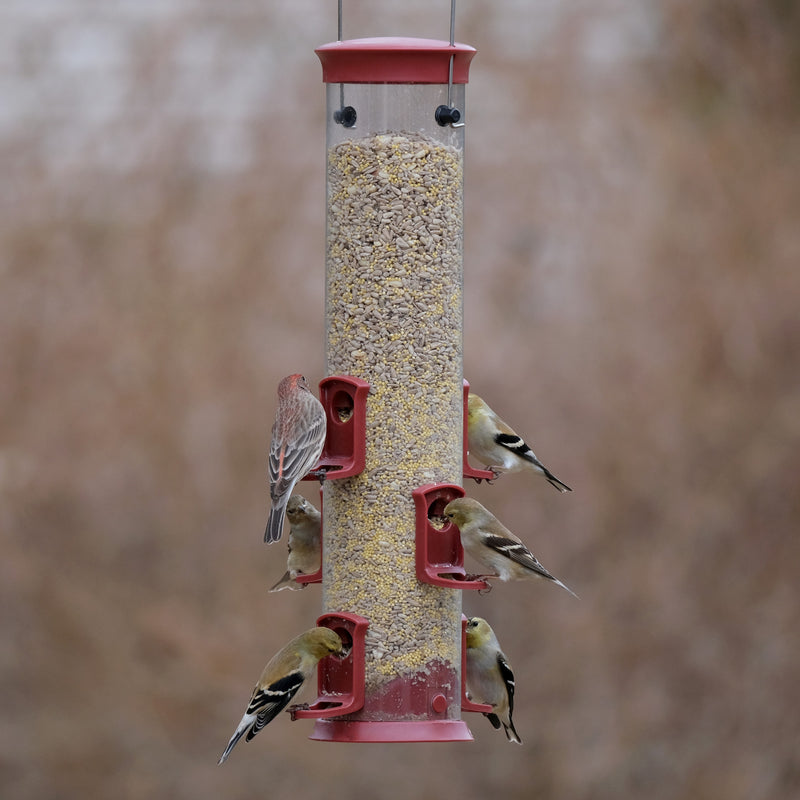 Load image into Gallery viewer, Large Plastic Tube Bird Feeder - Red
