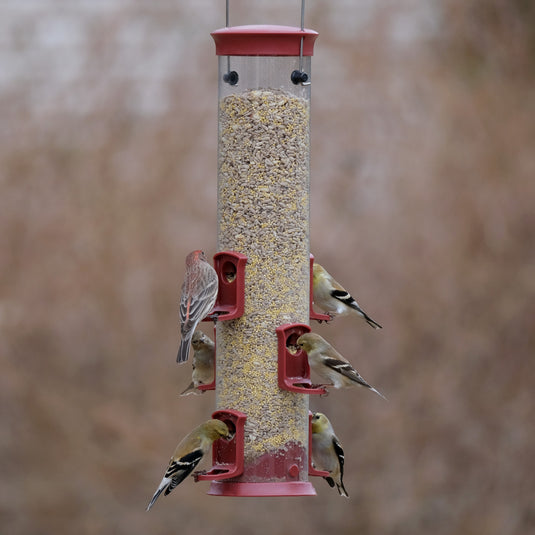 Large Plastic Tube Bird Feeder - Red