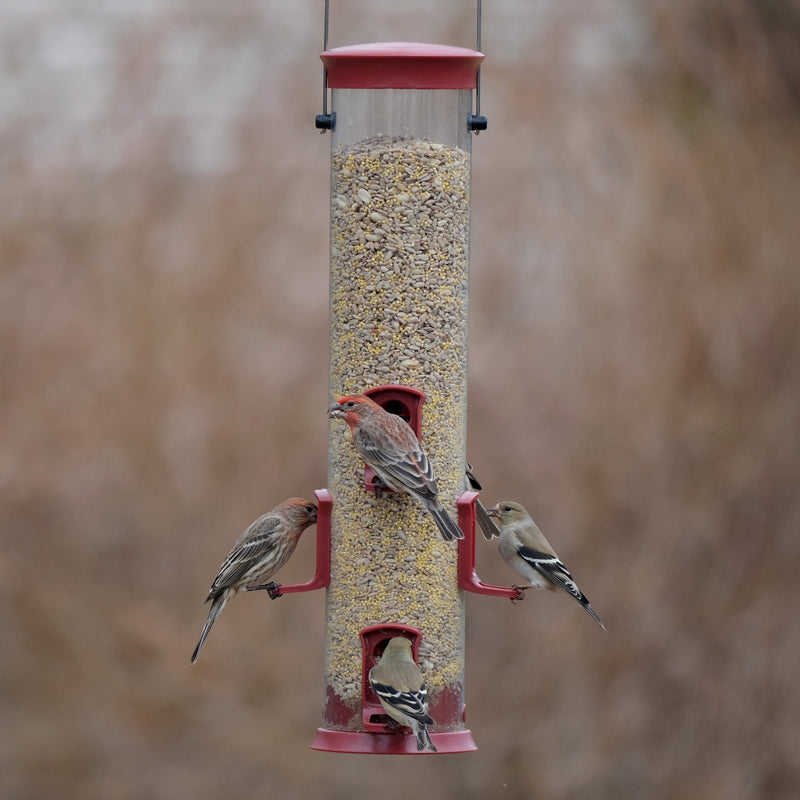 Load image into Gallery viewer, Large Plastic Tube Bird Feeder - Red