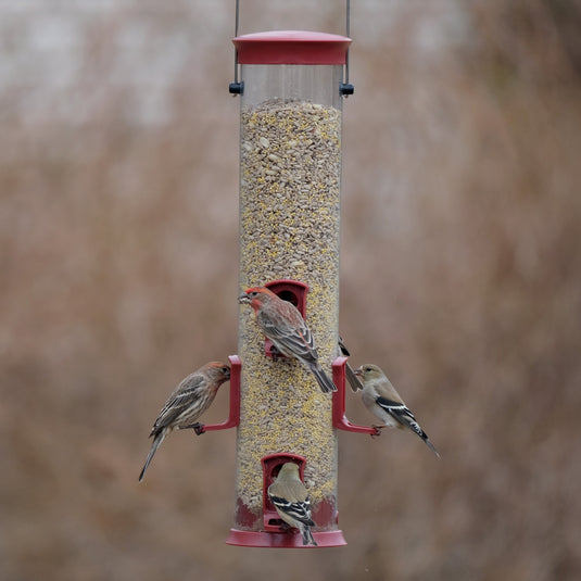 Large Plastic Tube Bird Feeder - Red