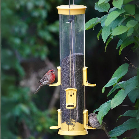 Large Plastic Thistle Tube Bird Feeder
