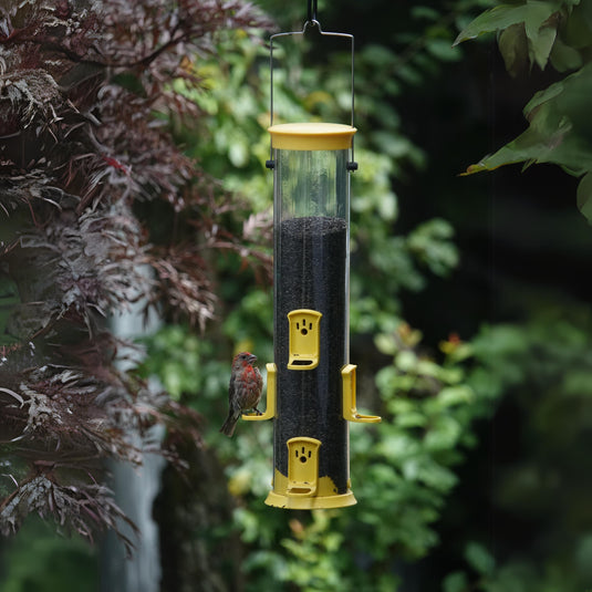 Large Plastic Thistle Tube Bird Feeder