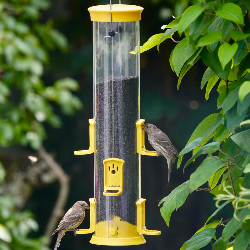 Load image into Gallery viewer, Large Plastic Thistle Tube Bird Feeder