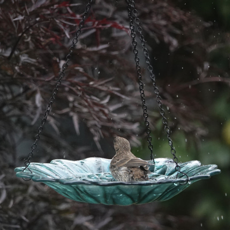 Load image into Gallery viewer, 11” Recycled Glass Hanging Combination Bird Feeder and Bath - Turquoise Dahlia