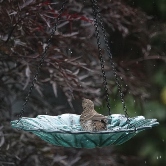 11” Recycled Glass Hanging Combination Bird Feeder and Bath - Turquoise Dahlia
