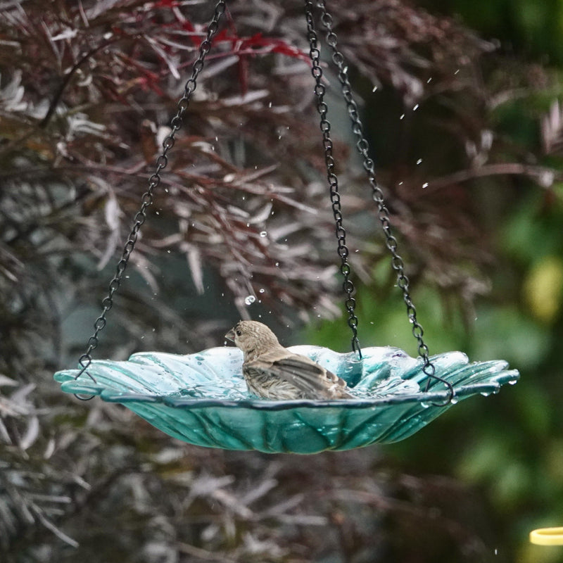 Load image into Gallery viewer, 11” Recycled Glass Hanging Combination Bird Feeder and Bath - Turquoise Dahlia