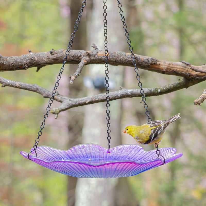 Load image into Gallery viewer, 11” Recycled Glass Hanging Combination Bird Feeder and Bath - Violet Begonia
