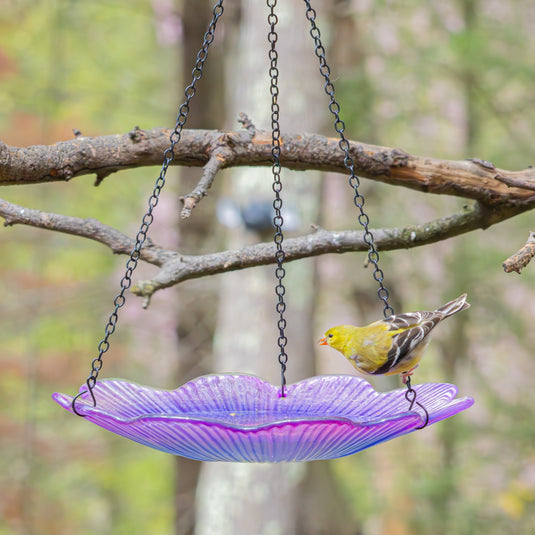 11” Recycled Glass Hanging Combination Bird Feeder and Bath - Violet Begonia