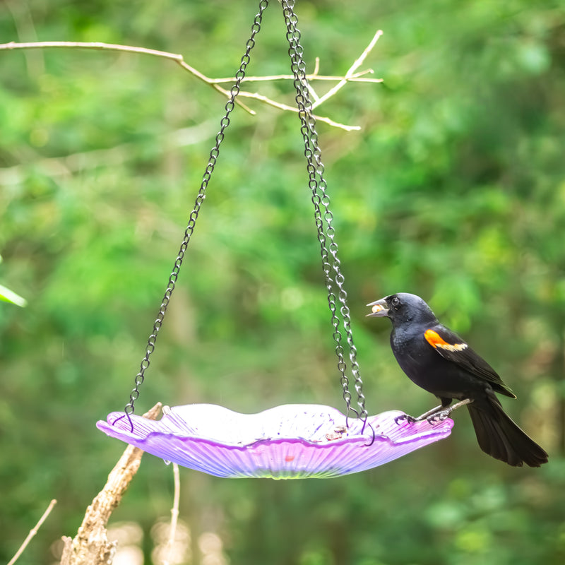 Load image into Gallery viewer, 11” Recycled Glass Hanging Combination Bird Feeder and Bath - Violet Begonia