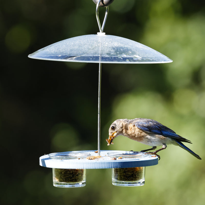 Load image into Gallery viewer, Bluebird Bistro Recycled Plastic Bird Feeder