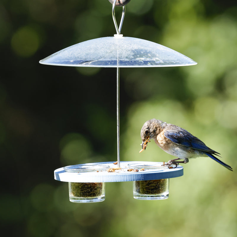 Load image into Gallery viewer, Bluebird Bistro Recycled Plastic Bird Feeder