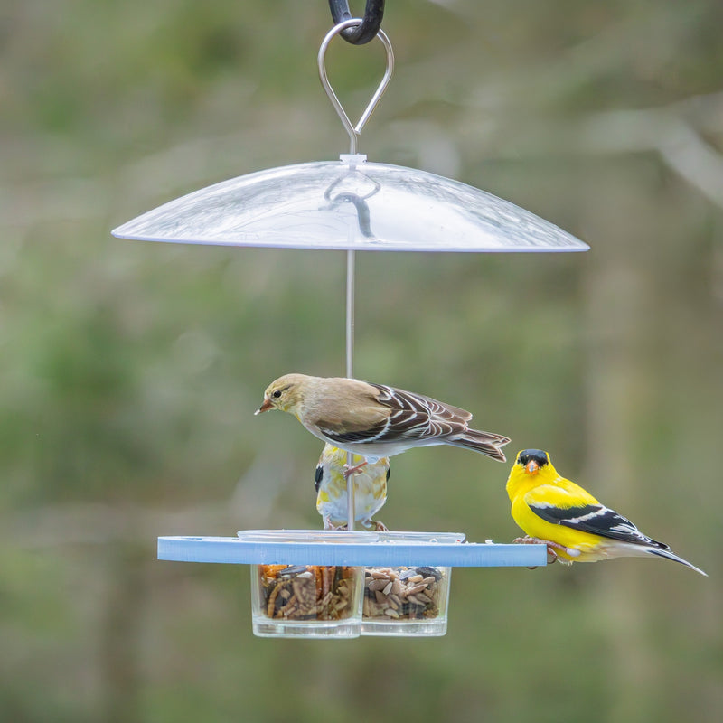Load image into Gallery viewer, Bluebird Bistro Recycled Plastic Bird Feeder