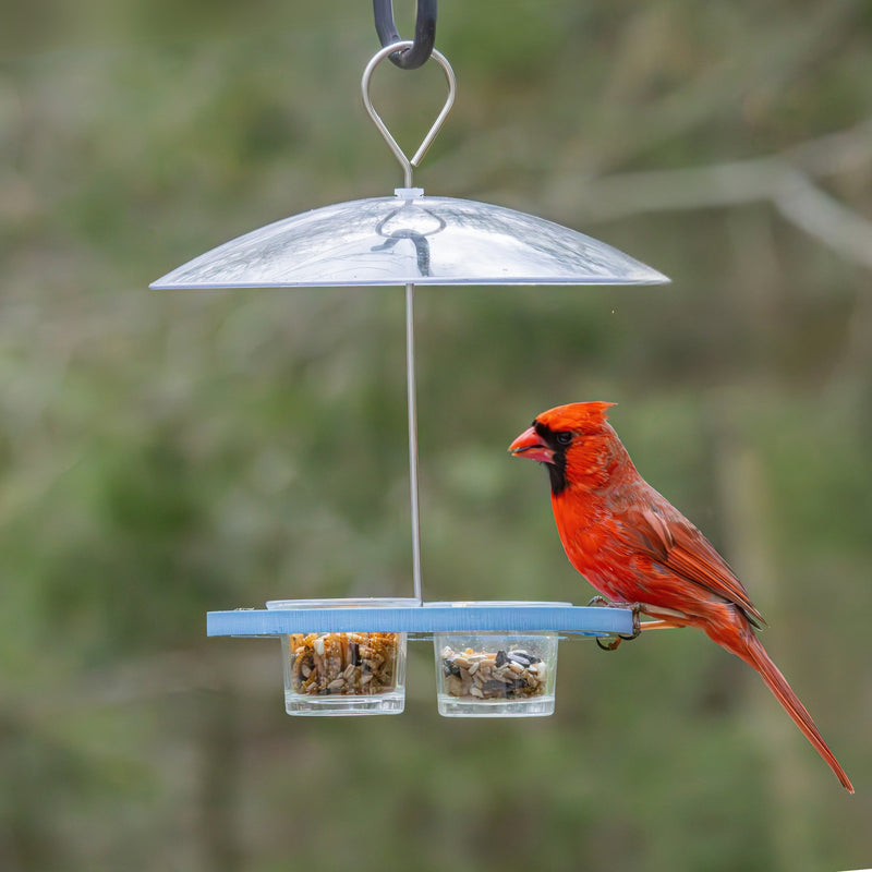 Load image into Gallery viewer, Bluebird Bistro Recycled Plastic Bird Feeder
