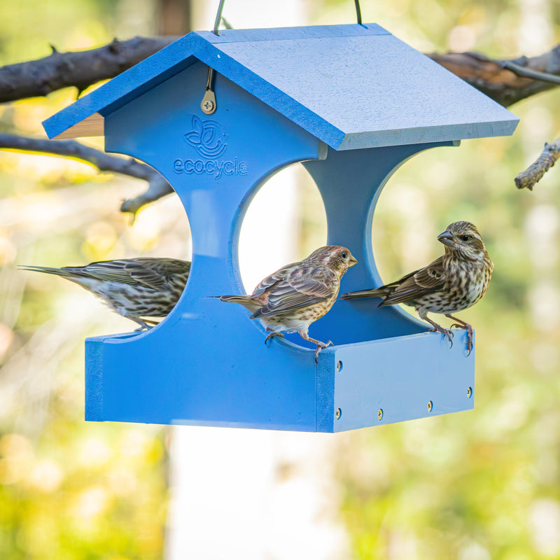 Load image into Gallery viewer, Dine-n-Dash Recycled Plastic Bird Feeder
