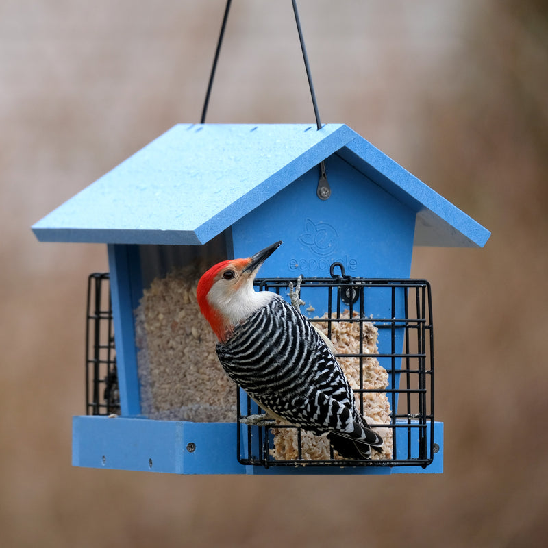 Load image into Gallery viewer, Hopper Hangout Recycled Plastic Hopper Bird Feeder w/ Suet Cages