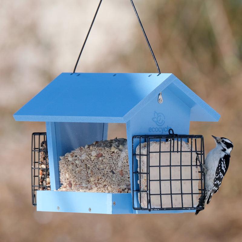 Load image into Gallery viewer, Hopper Hangout Recycled Plastic Hopper Bird Feeder w/ Suet Cages