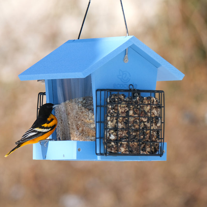 Load image into Gallery viewer, Hopper Hangout Recycled Plastic Hopper Bird Feeder w/ Suet Cages