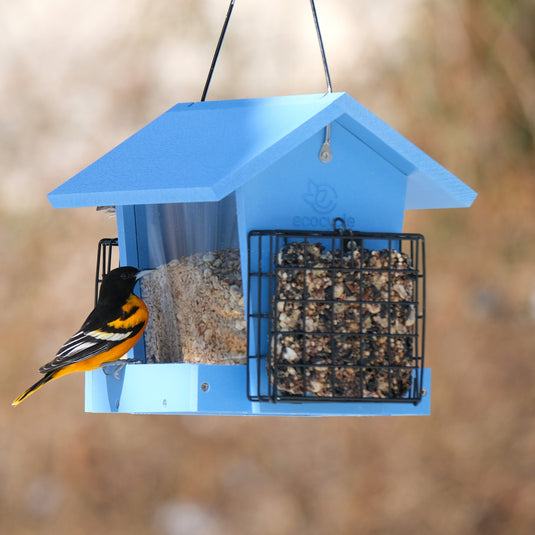 Hopper Hangout Recycled Plastic Hopper Bird Feeder w/ Suet Cages