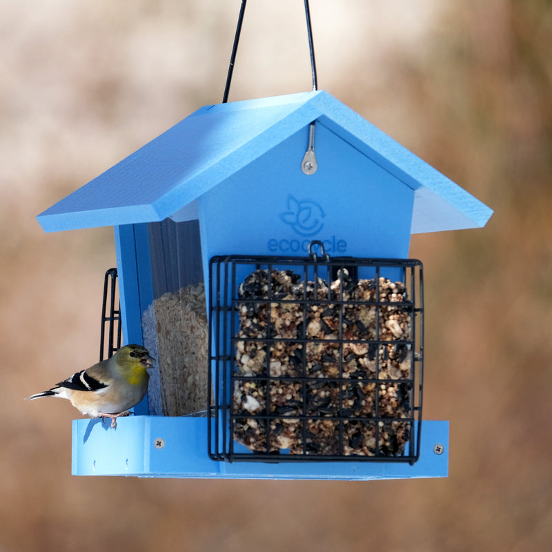 Load image into Gallery viewer, Hopper Hangout Recycled Plastic Hopper Bird Feeder w/ Suet Cages