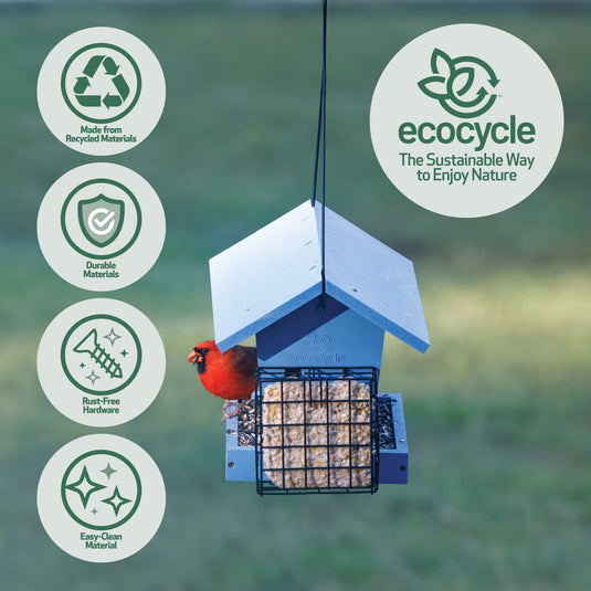 Hopper Hangout Recycled Plastic Hopper Bird Feeder w/ Suet Cages
