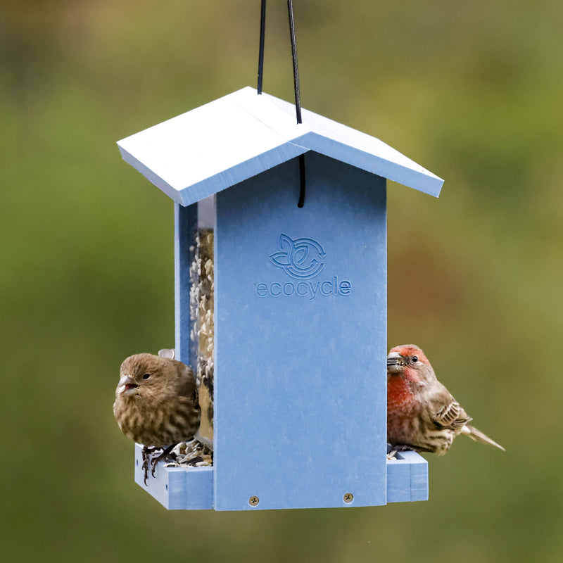 Load image into Gallery viewer, Tasty Tidbit Recycled Plastic Bird Feeder