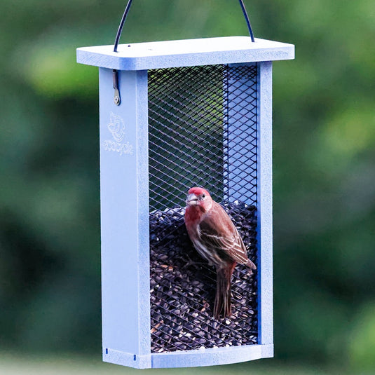 Mesh Morsels Recycled Plastic Mesh Bird Feeder