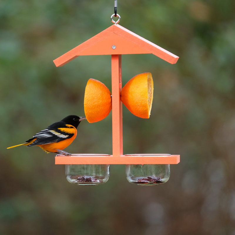 Load image into Gallery viewer, Citrus Sampler Recycled Plastic Orange and Jelly Oriole Bird Feeder