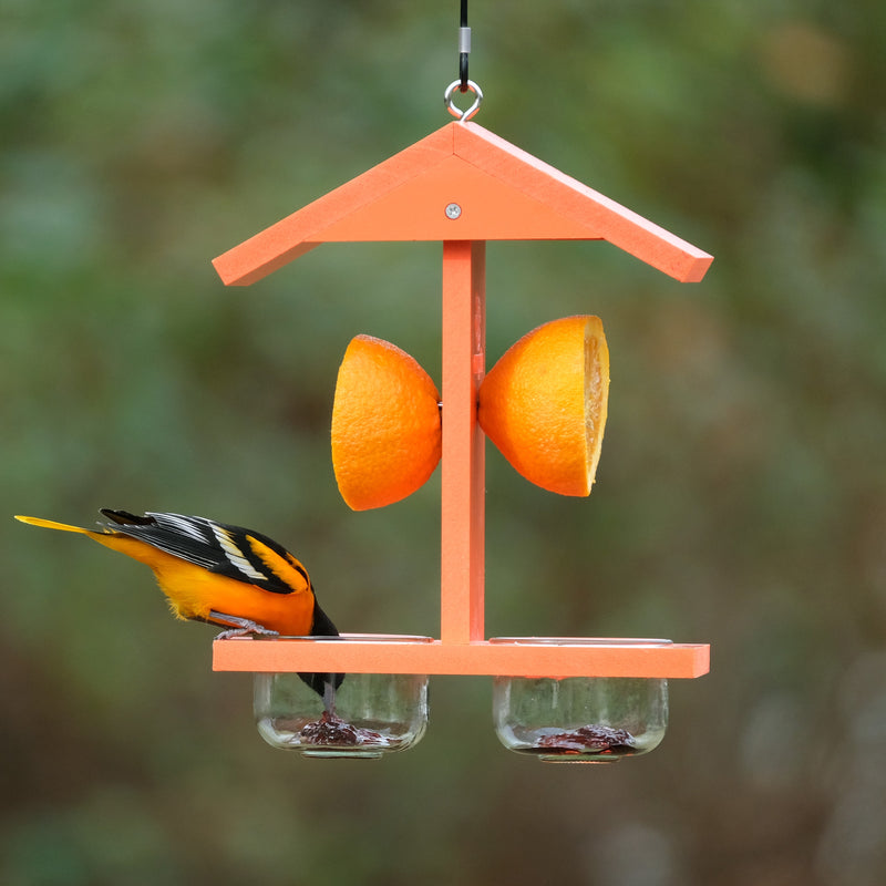 Load image into Gallery viewer, Citrus Sampler Recycled Plastic Orange and Jelly Oriole Bird Feeder
