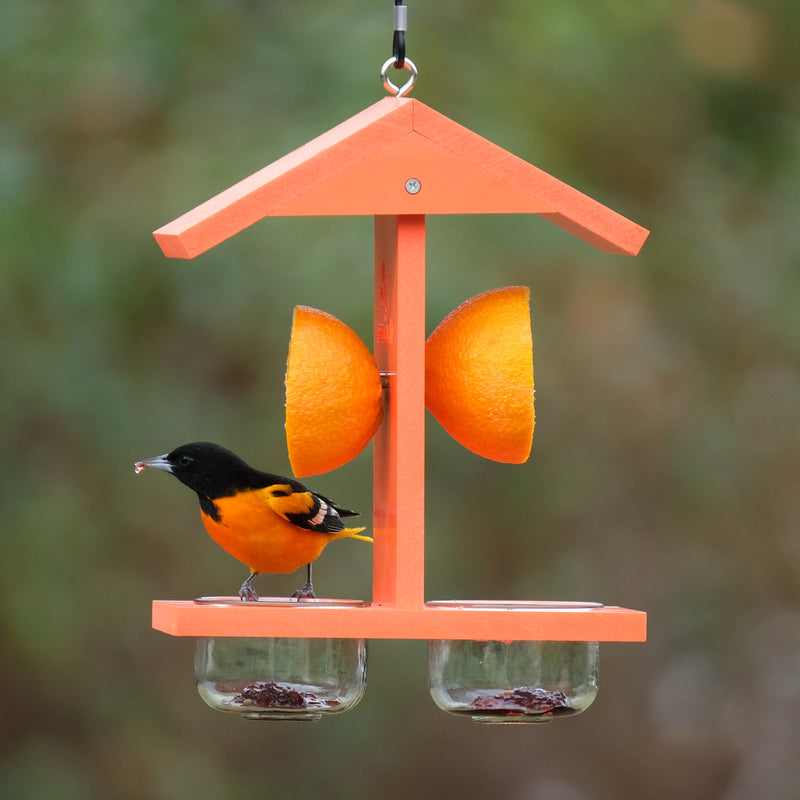 Load image into Gallery viewer, Citrus Sampler Recycled Plastic Orange and Jelly Oriole Bird Feeder