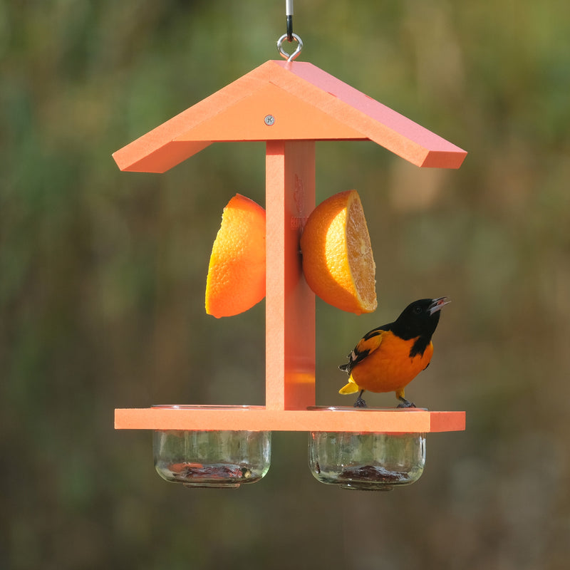 Load image into Gallery viewer, Citrus Sampler Recycled Plastic Orange and Jelly Oriole Bird Feeder