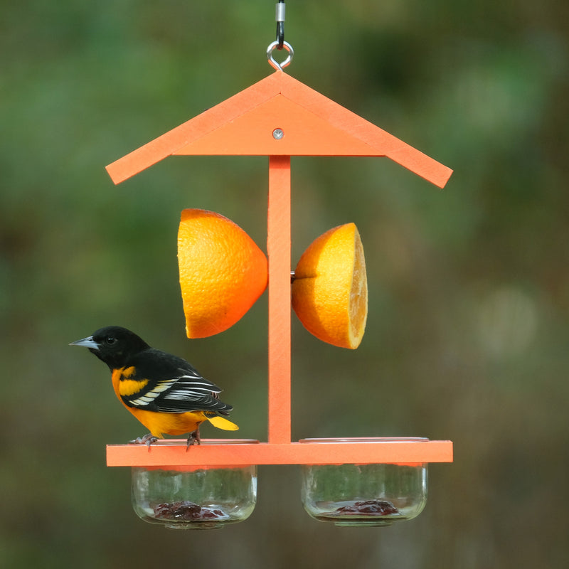 Load image into Gallery viewer, Citrus Sampler Recycled Plastic Orange and Jelly Oriole Bird Feeder