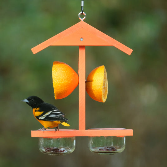 Citrus Sampler Recycled Plastic Orange and Jelly Oriole Bird Feeder