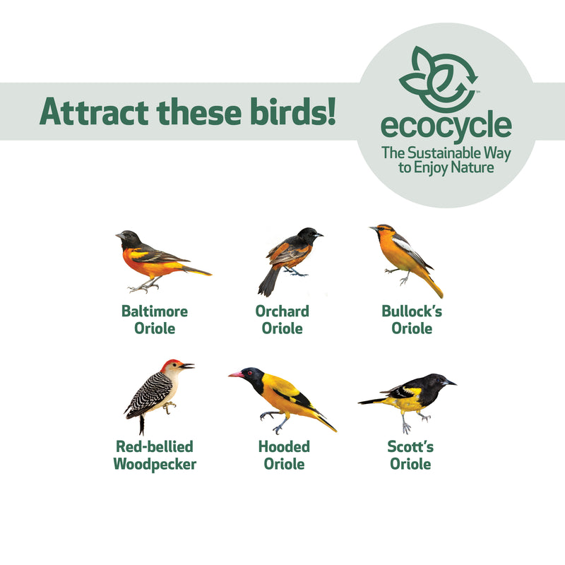 Load image into Gallery viewer, Citrus Sampler Recycled Plastic Orange and Jelly Oriole Bird Feeder