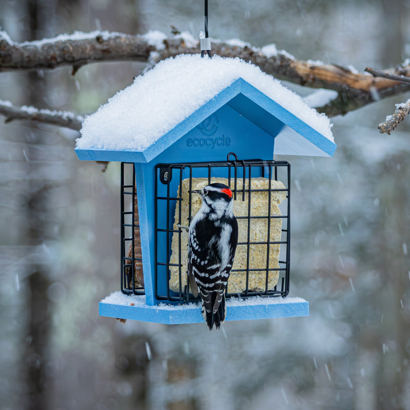 Load image into Gallery viewer, Suet Snacker Recycled Plastic Bird Feeder
