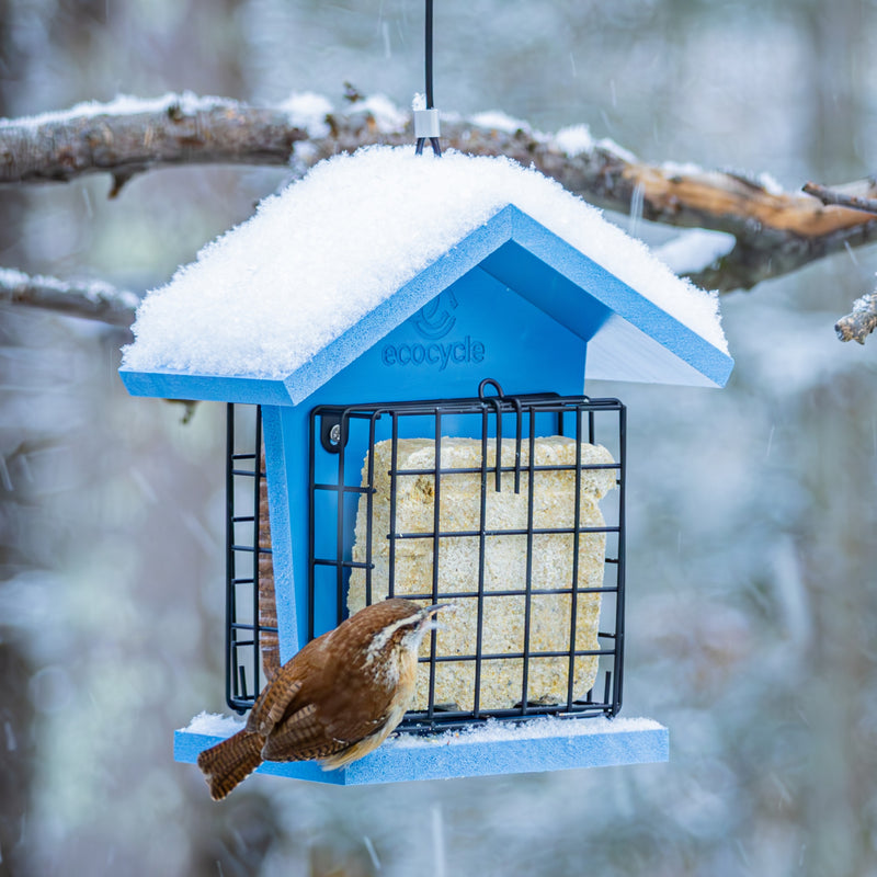 Load image into Gallery viewer, Suet Snacker Recycled Plastic Bird Feeder