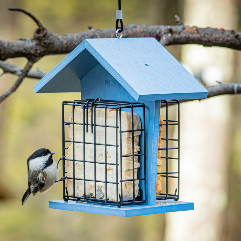 Load image into Gallery viewer, Suet Snacker Recycled Plastic Bird Feeder