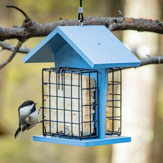 Suet Snacker Recycled Plastic Bird Feeder