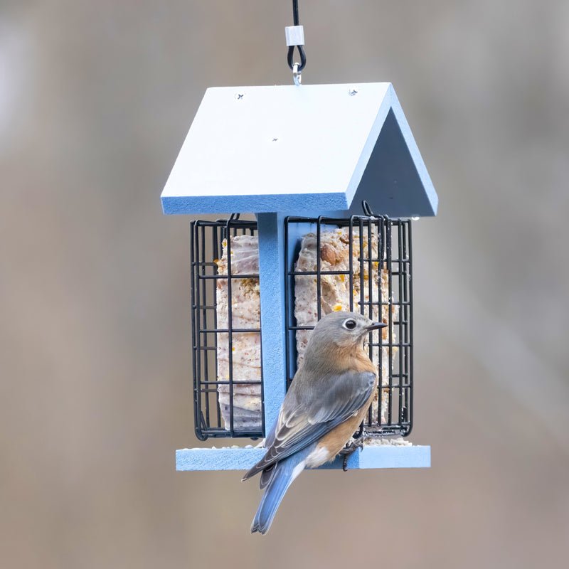 Load image into Gallery viewer, Suet Snacker Recycled Plastic Bird Feeder