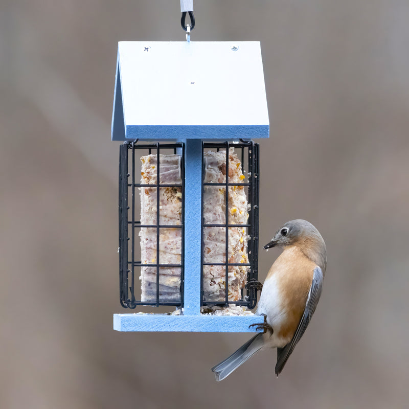 Load image into Gallery viewer, Suet Snacker Recycled Plastic Bird Feeder