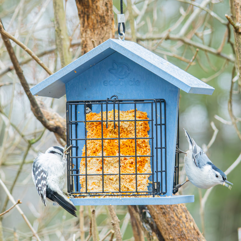 Load image into Gallery viewer, Suet Snacker Recycled Plastic Bird Feeder
