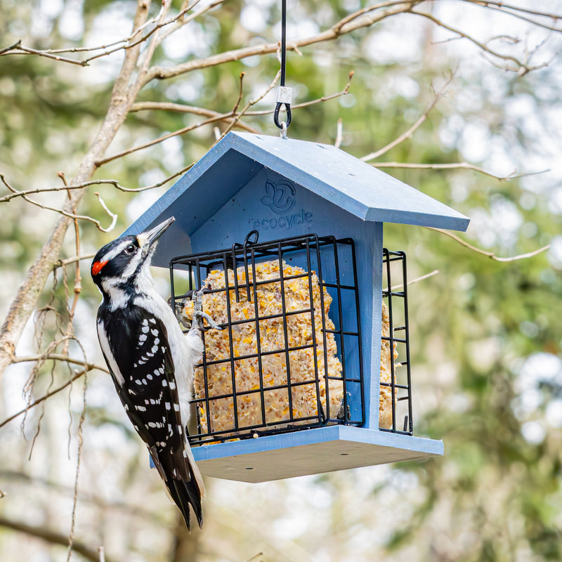 Load image into Gallery viewer, Suet Snacker Recycled Plastic Bird Feeder