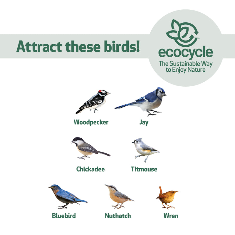 Load image into Gallery viewer, Suet Snacker Recycled Plastic Bird Feeder