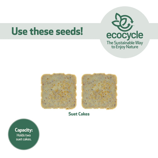 Suet Snacker Recycled Plastic Bird Feeder