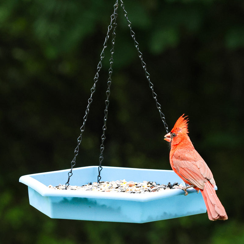 Load image into Gallery viewer, Combo Café 2-in-1 Recycled Plastic Bird Feeder and Bird Bath