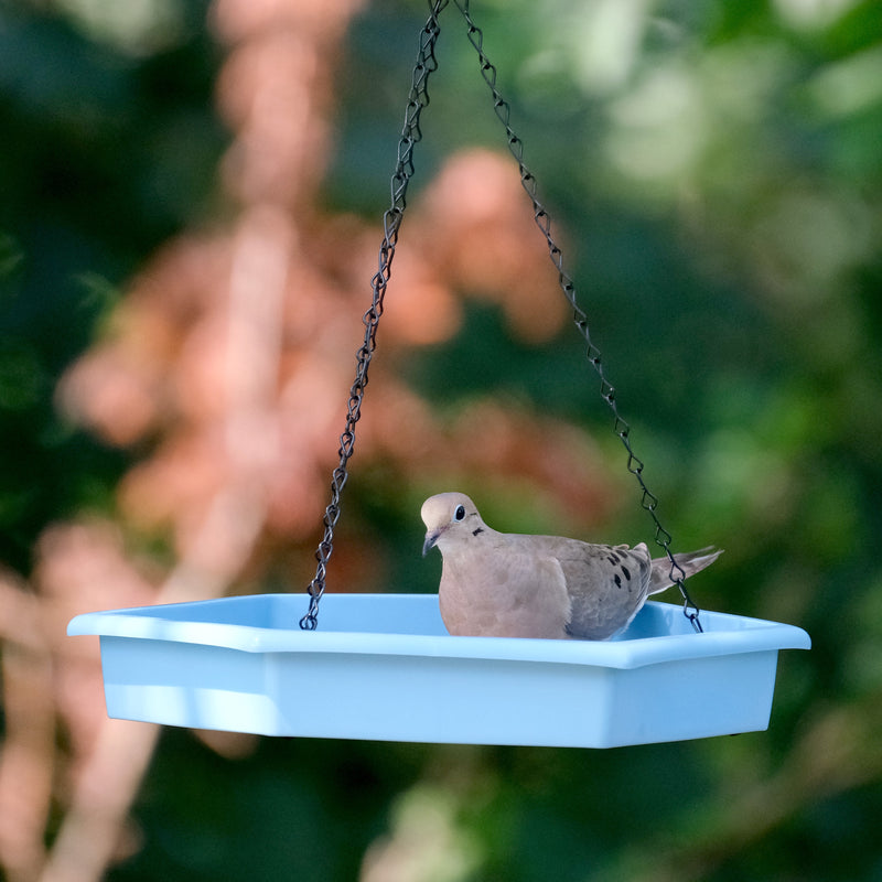 Load image into Gallery viewer, Combo Café 2-in-1 Recycled Plastic Bird Feeder and Bird Bath