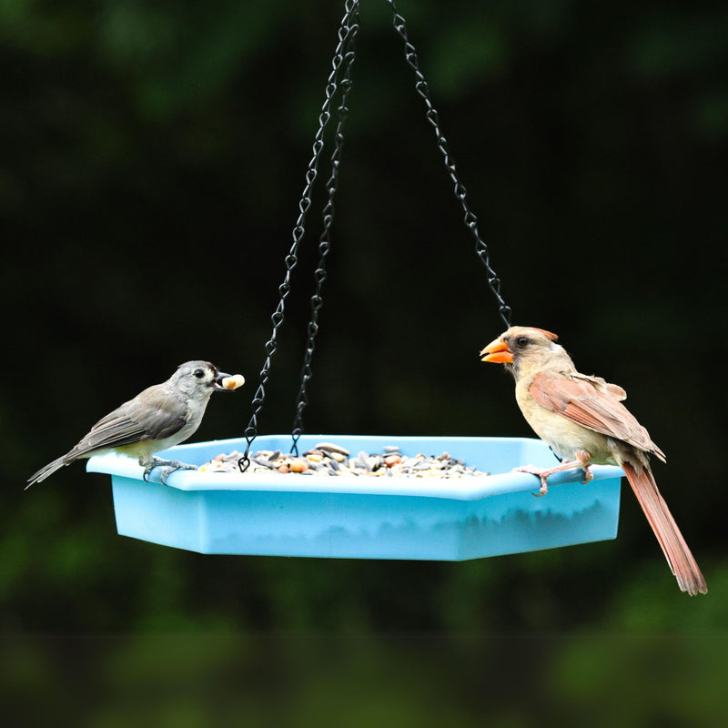 Load image into Gallery viewer, Combo Café 2-in-1 Recycled Plastic Bird Feeder and Bird Bath