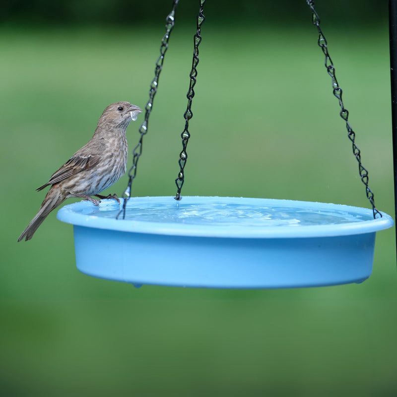 Load image into Gallery viewer, Combo Café 2-in-1 Recycled Plastic Bird Feeder and Bird Bath