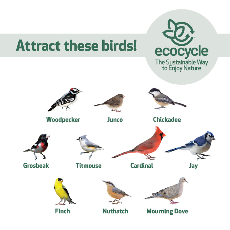Load image into Gallery viewer, Combo Café 2-in-1 Recycled Plastic Bird Feeder and Bird Bath